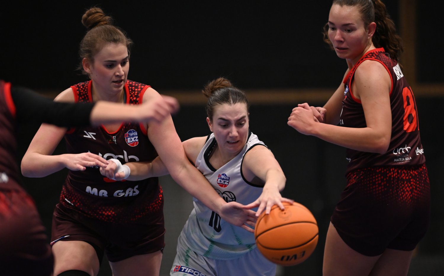 Tipos EXZ | Drmu proti UMB rozhodla a zveren minta