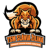 TSM Slvia Young Men ilina